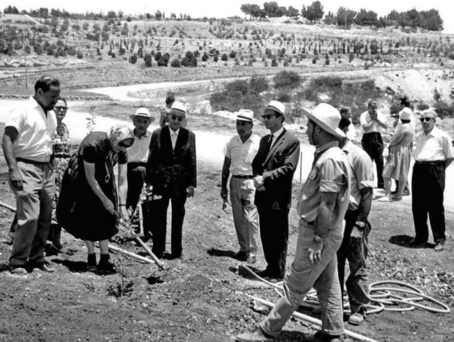 Gertruda Bablińska sadzi drzewo w Ogrodzie Sprawiedliwych wśród Narodów Świata w Jad Waszem, czerwiec 1962 r., źródło: yadvashem.org